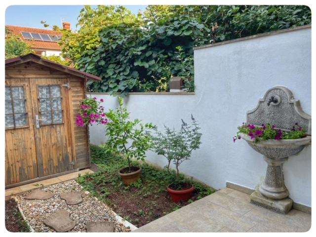 Apartman Sorgo Appartement Zambratija  Buitenkant foto